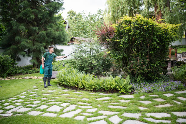 Best Mosquito Control Services  in Kings Mills, OH