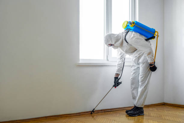 Best Pest Removal Services  in Kings Mills, OH