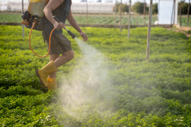 Best Commercial Pest Control Services  in Kings Mills, OH
