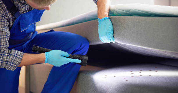 Best Affordable Pest Control Services  in Kings Mills, OH