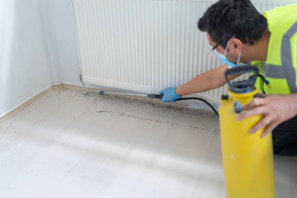 Best Wasp Removal Services  in Kings Mills, OH